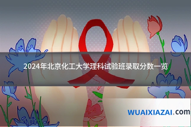 2024年北京化工大学理科试验班录取分数一览