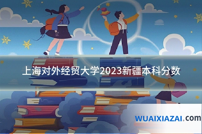 上海对外经贸大学2023新疆本科分数