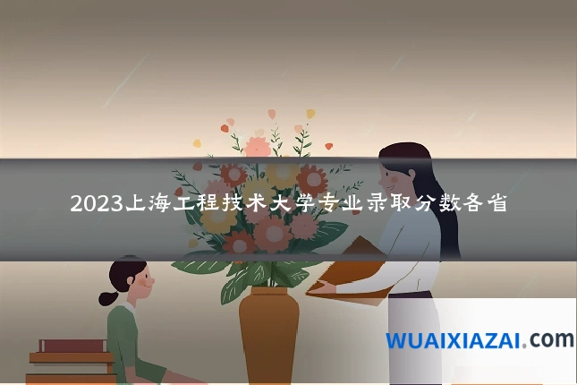 2023上海工程技术大学专业录取分数各省