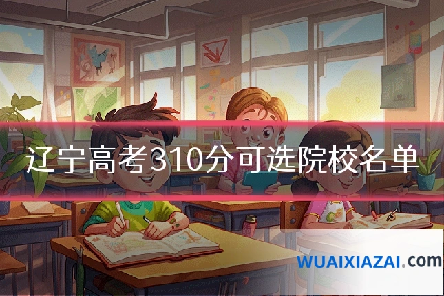 辽宁高考310分可选院校名单
