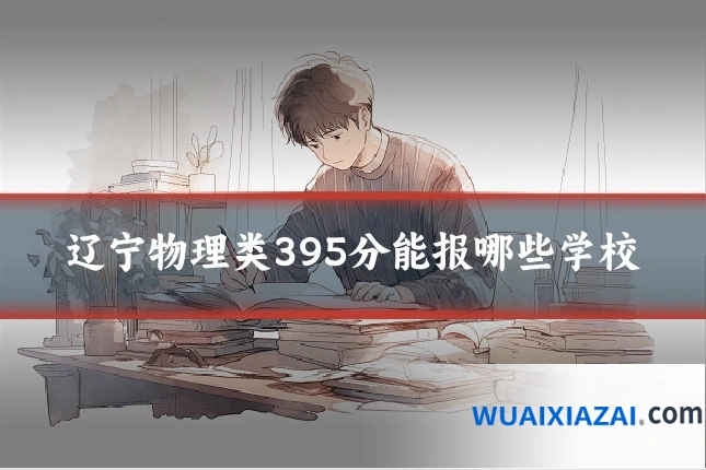 辽宁物理类395分能报哪些学校