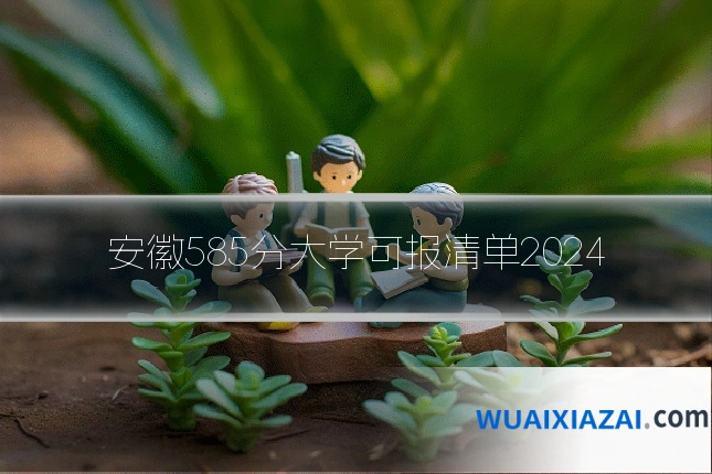 安徽585分大学可报清单2024