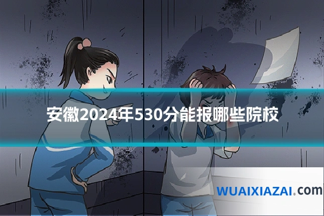 安徽2024年530分能报哪些院校