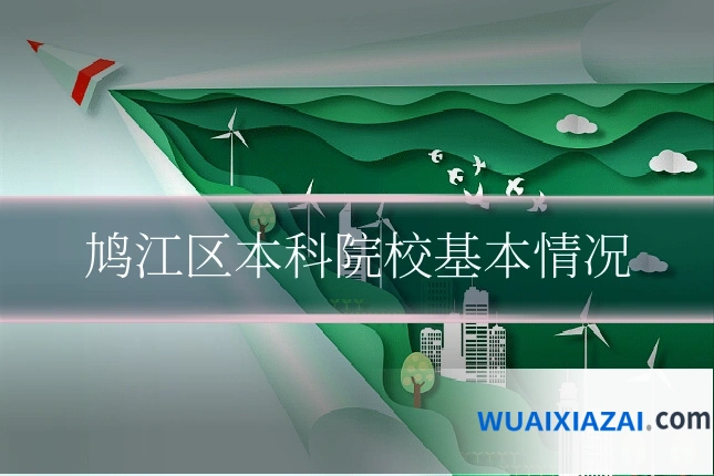 鸠江区本科院校基本情况