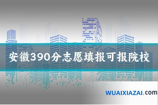 安徽390分志愿填报可报院校