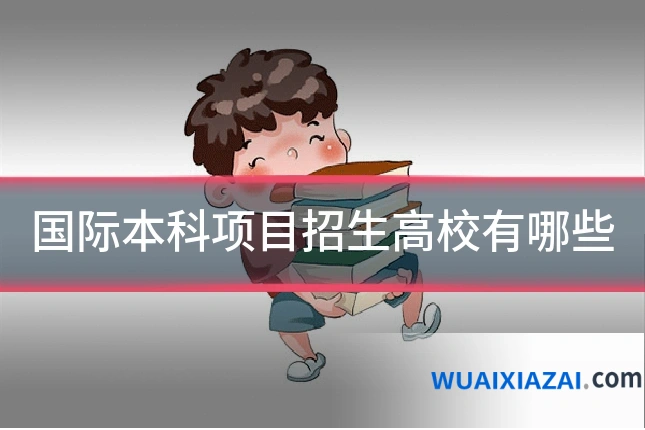 国际本科项目招生高校有哪些