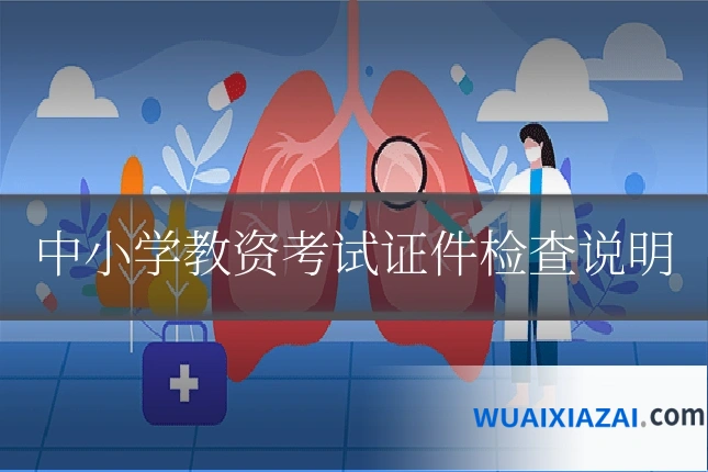 中小学教资考试证件检查说明