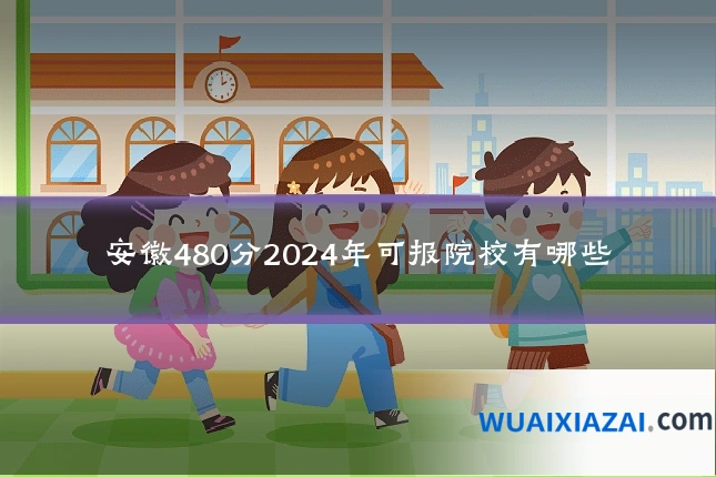 安徽480分2024年可报院校有哪些