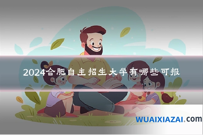 2024合肥自主招生大学有哪些可报
