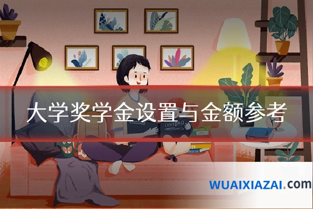 大学奖学金设置与金额参考