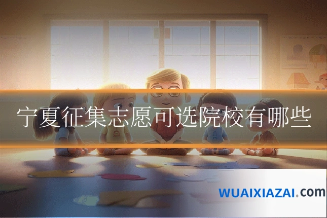宁夏征集志愿可选院校有哪些