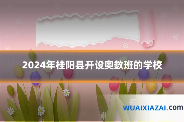 2024年桂阳县开设奥数班的学校