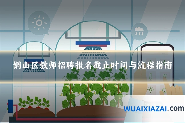 铜山区教师招聘报名截止时间与流程指南