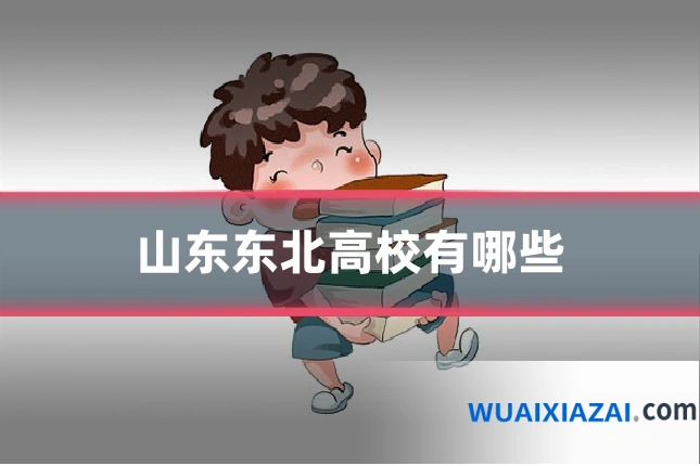 山东东北高校有哪些