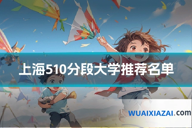 上海510分段大学推荐名单