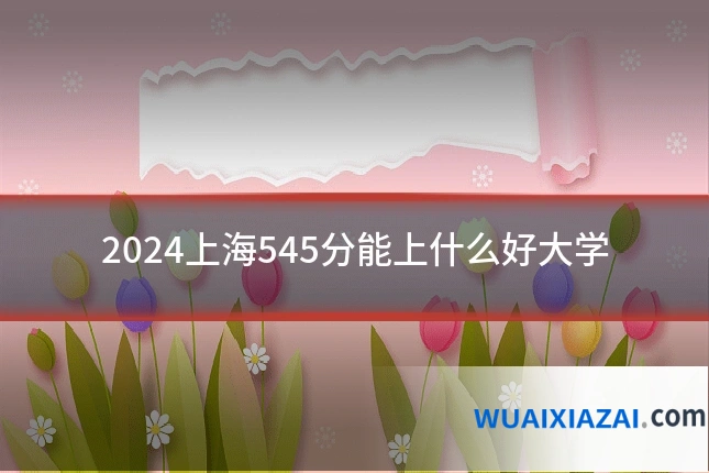 2024上海545分能上什么好大学