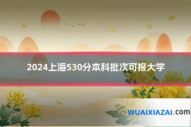 2024上海530分本科批次可报大学