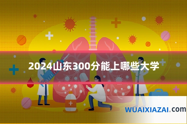 2024山东300分能上哪些大学