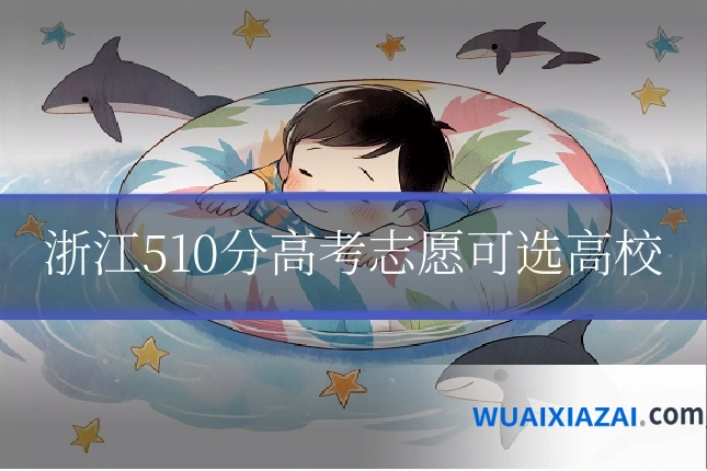 浙江510分高考志愿可选高校