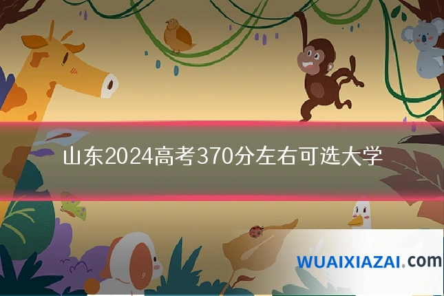 山东2024高考370分左右可选大学
