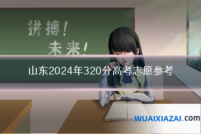 山东2024年320分高考志愿参考