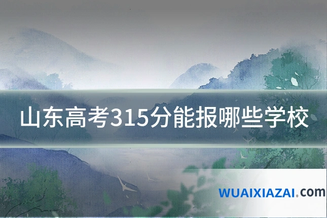 山东高考315分能报哪些学校
