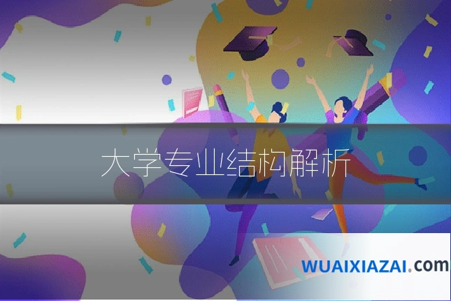 大学专业结构解析
