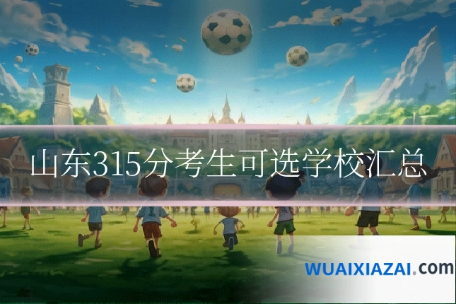 山东315分考生可选学校汇总