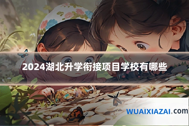 2024湖北升学衔接项目学校有哪些