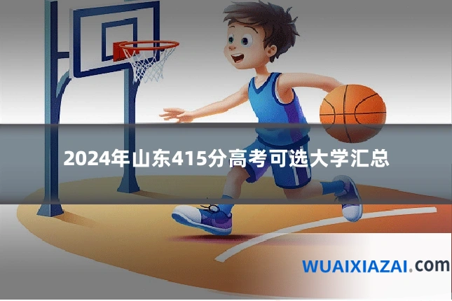 2024年山东415分高考可选大学汇总