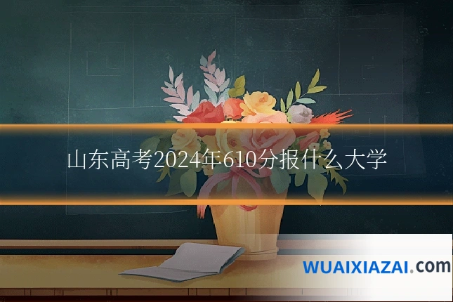 山东高考2024年610分报什么大学