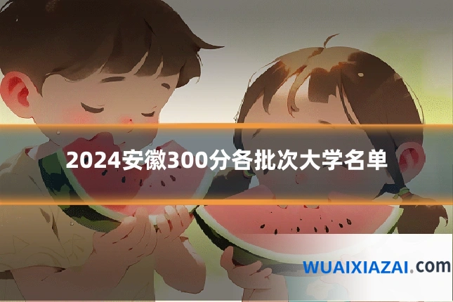 2024安徽300分各批次大学名单