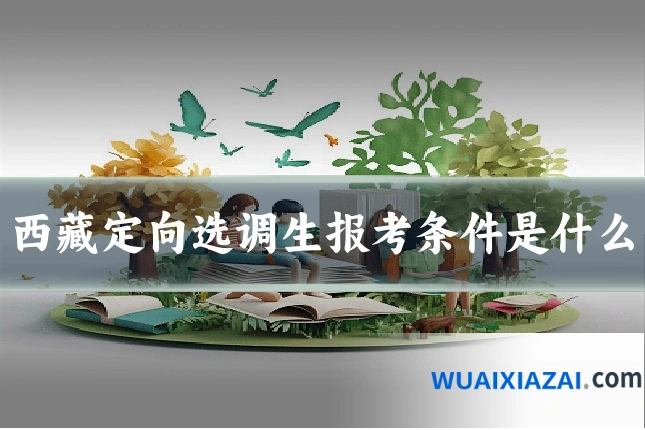 西藏定向选调生报考条件是什么