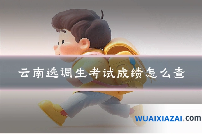 云南选调生考试成绩怎么查