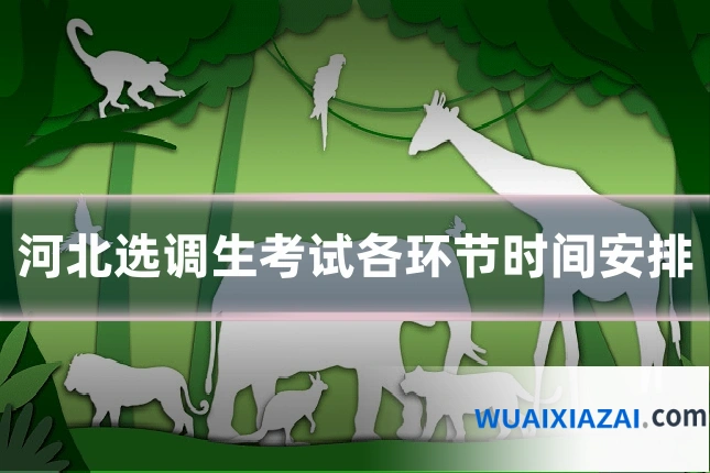 河北选调生考试各环节时间安排