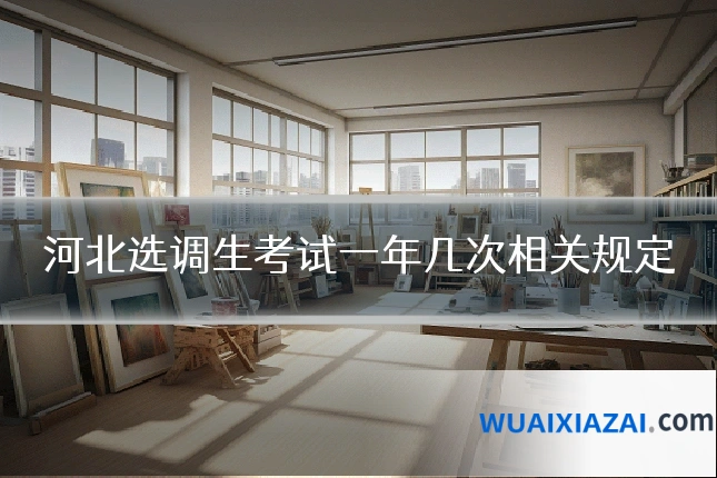 河北选调生考试一年几次相关规定