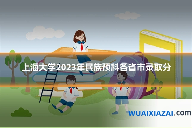 上海大学2023年民族预科各省市录取分