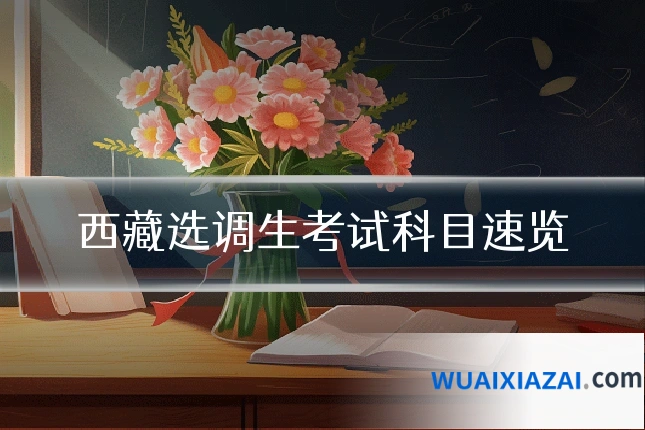 西藏选调生考试科目速览