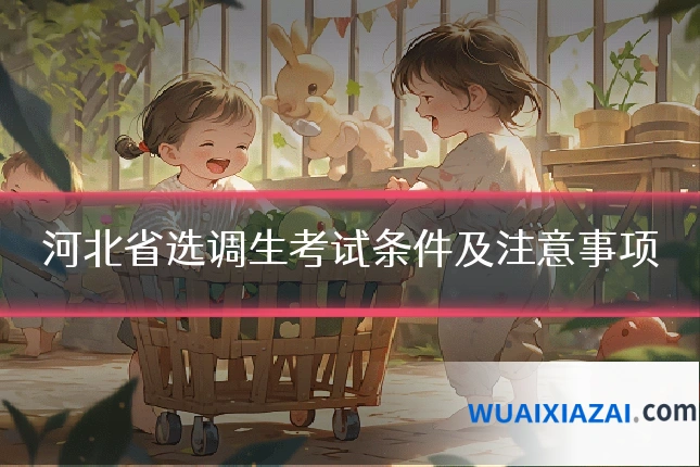 河北省选调生考试条件及注意事项
