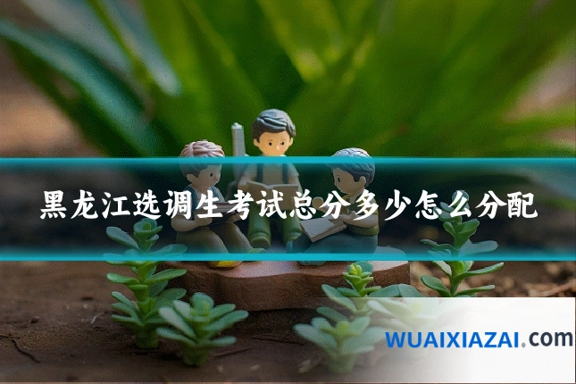 黑龙江选调生考试总分多少怎么分配