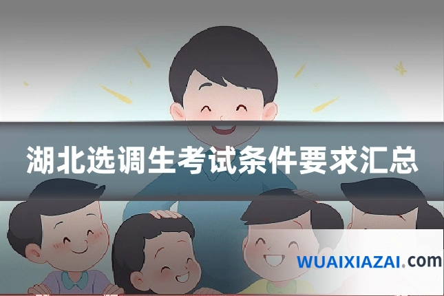 湖北选调生考试条件要求汇总