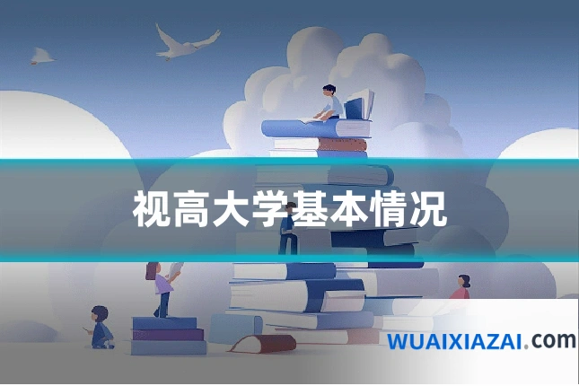 视高大学基本情况
