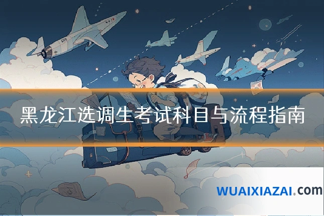 黑龙江选调生考试科目与流程指南