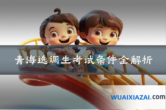 青海选调生考试条件全解析