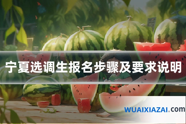 宁夏选调生报名步骤及要求说明