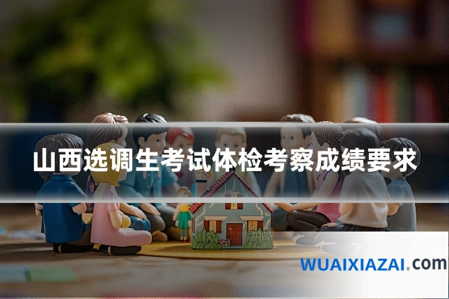 山西选调生考试体检考察成绩要求