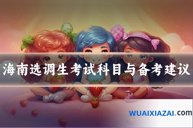海南选调生考试科目与备考建议