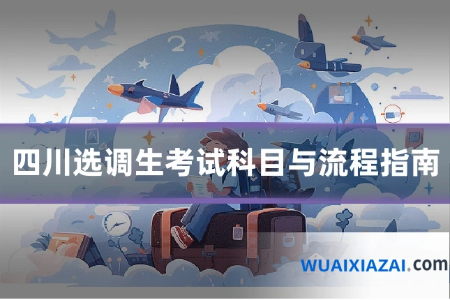 四川选调生考试科目与流程指南