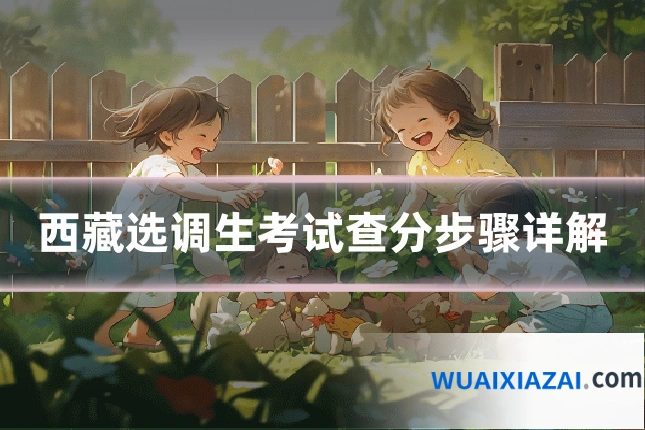 西藏选调生考试查分步骤详解