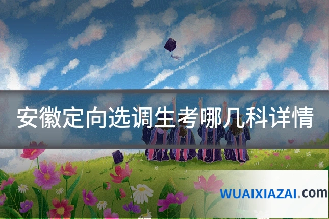 安徽定向选调生考哪几科详情